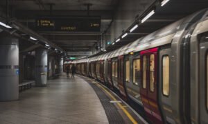 Leia mais sobre o artigo Eget elementum on train